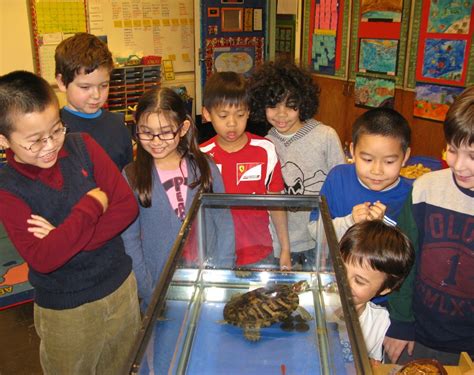 Students Will Get To Observe Live Animals In Their Makeshift Habitat In