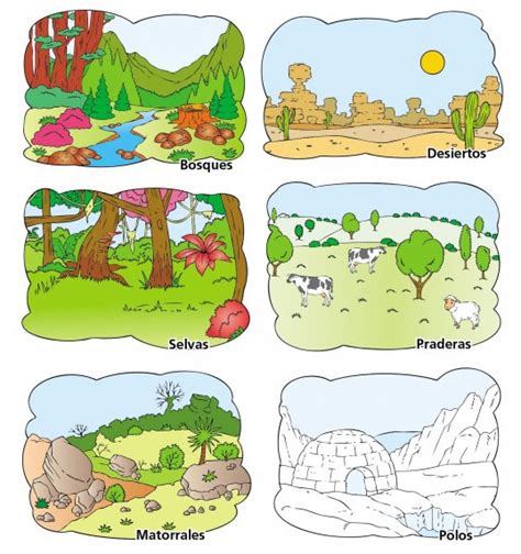 Arriba Imagen De Fondo Mapa De Los Biomas Del Mundo Mirada Tensa 28160