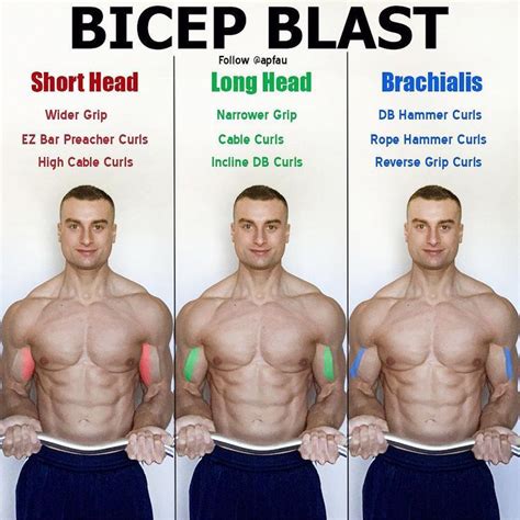 biceps workout that will have you bursting through your sleeves biceps workout