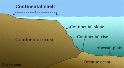 Continental Shelf A Labeled Diagram And Some Interesting Facts