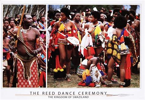 The Reed Dance Ceremony From Swaziland ~ Zulu Women Swaziland Women