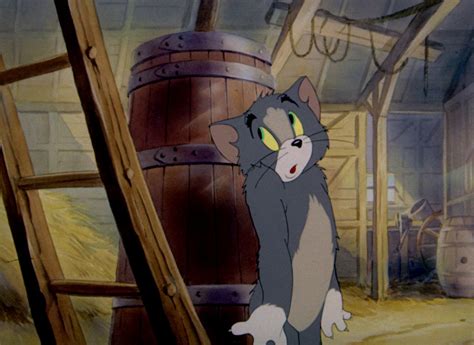 Tom And Jerry Pictures Fine Feathered Friend