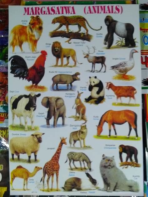 16++ Contoh poster kampanye pelestarian hewan dan tumbuhan langka
