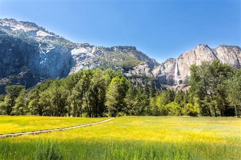Premium Photo Meadow With Green Grass In Yosemite National Park
