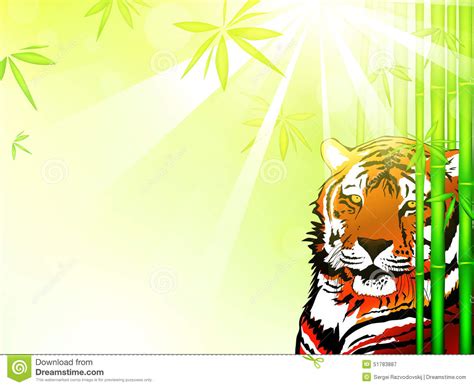 Tiger In Bamboo Forest Stock Illustration Illustration Of Shine 51783887