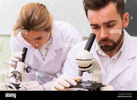 Two Scientist Colleagues Are Using Microscopes During Research Work In