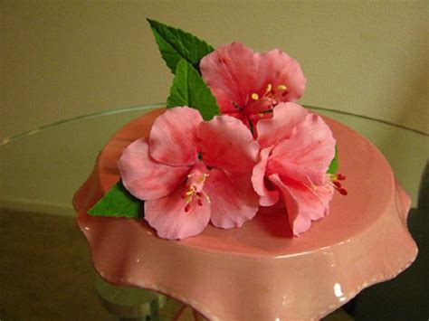 Paradise hibiscus are flowering perennials that are best known for their stunning ombre blooms that can grow up to 8 inches across. Some gumpaste Hibiscus blossoms for an upcoming cake | Gum ...