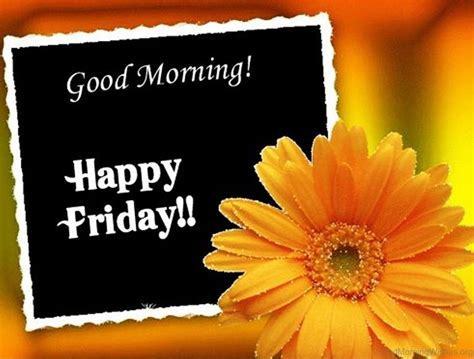 Images Of Happy Friday Good Morning Lovethispic Offers Good Morning
