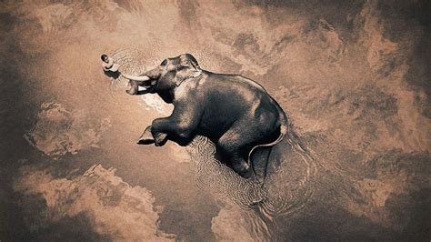 Gregory Colbert Ashes And Snow Exhibition Ashesandsnow