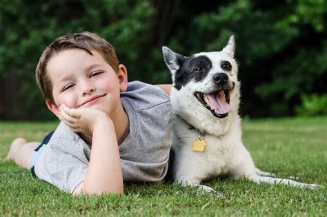 La relación entre un niño y un perro Blog Dog Houser