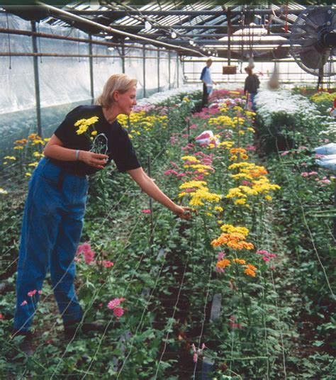 We have many different purchasing options. Growing cut flowers is about to get more challenging ...