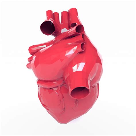 3d Heart Turbosquid 1237256