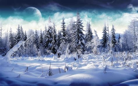 Winter Forest Desktop Wallpaper Wallpapersafari