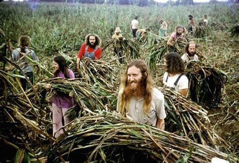 Society’s Dropouts 48 Eye Opening Photos Of America’s 1970s Hippie Communes Hippies Hippie