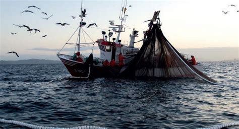 Presionan A México Para Acabar Con La Pesca Ilegal En Una Reserva Marina