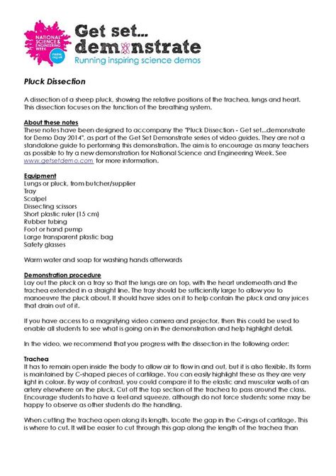 Bestseller Sheep Lung Dissection Lab Report Template