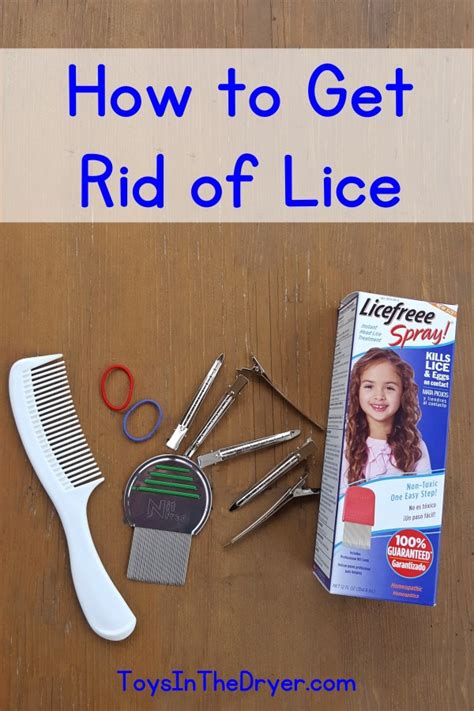 How To Get Rid Of Lice