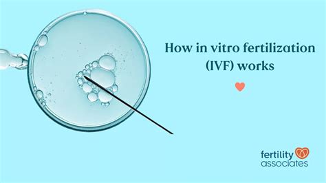 In Vitro Fertilization • Fertility Associates
