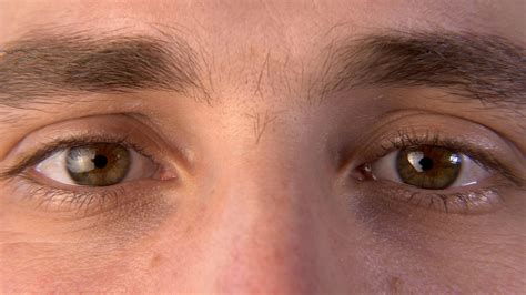 Close Up Male Human Eye Macro Pupil Cornea Iris Eyeball Eyelashes