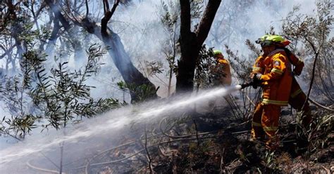Kebakaran hutan di gunung ciremai. 50 Hektare Hutan di Kawasan Gunung Ciremai Terbakar ...