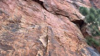 Rock Climbing Outdoor Sex Adventure Ocean Crush Fapcat
