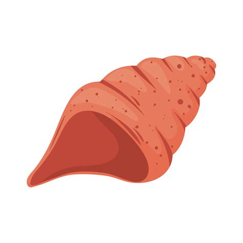 Red Sea Shell 11263889 Vector Art At Vecteezy