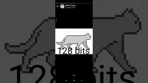 2048 Bits 4096 Bits 8192 Bits 16384 Bits 32768 Bits 65536 Bits Cat