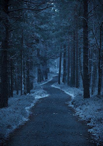 Dark Forest Dark Forest Haunted Forest Forest Path