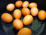 Pictures of Eggs Refrigeration