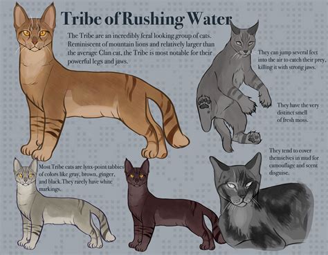 Tribe Of Rushing Water Breed Standard By Magic Pistachio On Deviantart