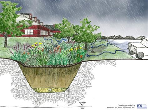 How Rain Gardens Complement Climate Victory Gardens Dengarden