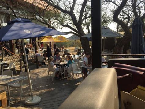 Best restaurants in windhoek, khomas region. Bush Bar, Windhoek - Restaurant Reviews, Photos & Phone ...