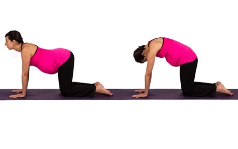 The natural movements of cat and cow are often used to alleviate discomfort in the hips, neck, . Yoga for Pregnancy | Cat Pose & Cat Cow