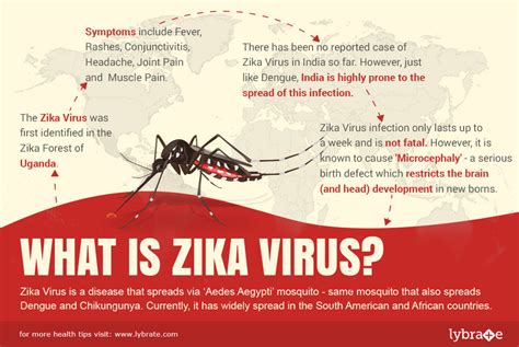 What Is Zika Virus Is It Deadlier Than Dengue Is India Ready To Face The Zika Lybrate