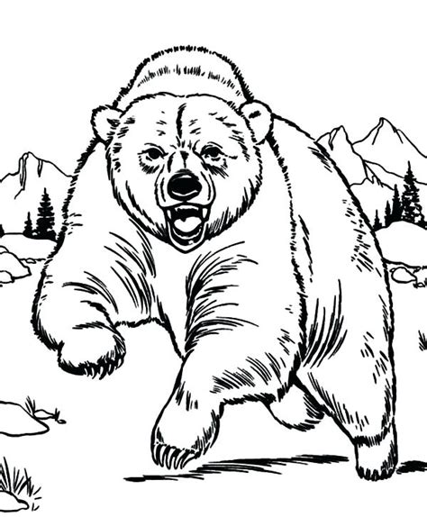 Grizzly Bear Line Drawing At Getdrawings Free Download