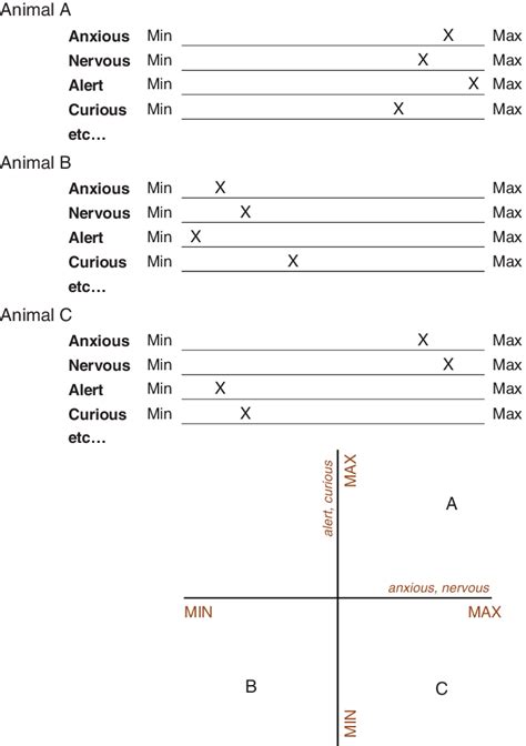 Qualitative Behavioural Assessment Method For Scoring Three Animals A