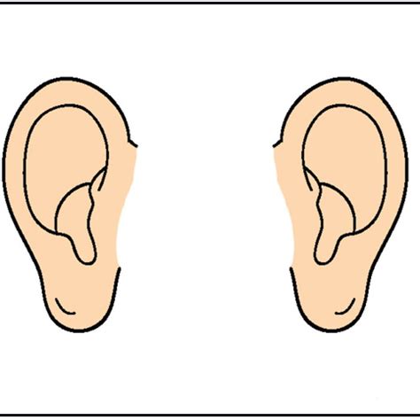 Ears Clipart Cartoon Clip Art Ears Cartoon Clip Art Transparent Free
