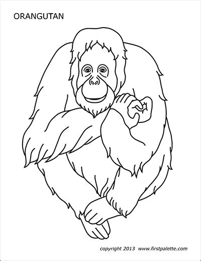 Orangutans coloring page is an important part of big archive of coloring pages.try to color orangutans to some extraordinary! Orangutan | Free Printable Templates & Coloring Pages ...