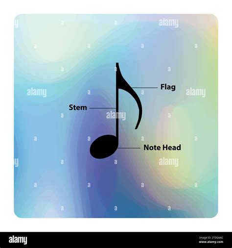 Music Note Construction Parts Of A Music Note Learning Stock Vector