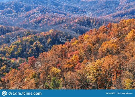 Full Frame Fall Autumn Great Smoky Mountains Covered With Colorful