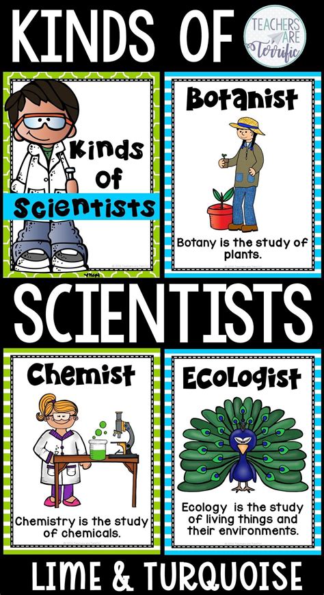 Posters For Elementary Science This Set Features Different Kinds Of