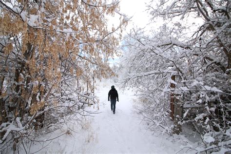 Walking In A Winter Wonderland Rpics