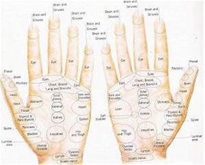 Index Reflexology Map Food Reflexology Chart Hand Pressure Points