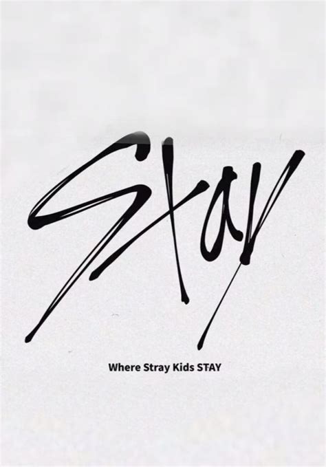 Our Fandom Name Is Now Stay Because Thats Where The Stray Kids Come To