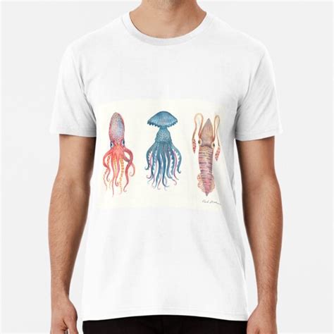 Octopus Jellyfish And A Squid T Shirt For Sale By Vladimirsart