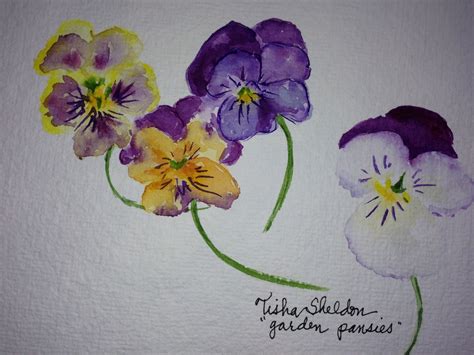 Garden Pansies Watercolor By Tisha Sheldon Akvareller Akvarell