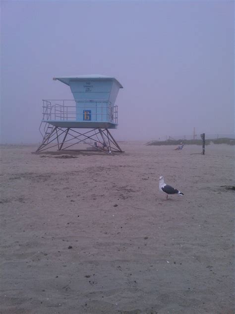 Seagull And Lifeguard Tower Foggy Morning At Silver Strand State Beach