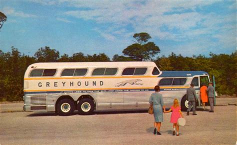 Greyhound Bus 1960 Vintage Chrome Postcards Vintage Buses Campers
