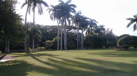 Hope Botanical Gardens Jamaica Fasci Garden