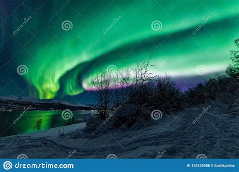 Polar Arctic Northern Lights Aurora Borealis Sky Star In